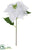 Iced Velvet Royal Poinsettia Spray - White - Pack of 12