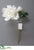 Peony with Bud Spray - White - Pack of 12