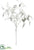 Velvet Ruscus Leaf Spray - White - Pack of 12