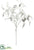 Velvet Ruscus Leaf Spray - White - Pack of 12