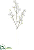 Silk Plants Direct Snowed Dogwood Spray - White - Pack of 12