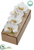 Silk Plants Direct Phalaenopsis Orchid Napkin Ring - White - Pack of 4