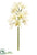 Silk Plants Direct Cymbidium Orchid Spray - White - Pack of 12