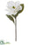 Velvet Magnolia Spray - White - Pack of 12