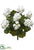 Water-Resistant Geranium Bush - White - Pack of 6