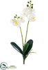 Silk Plants Direct Phalaenopsis Orchid Plant - White - Pack of 12