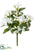 Silk Plants Direct Stephanotis Bush - White - Pack of 12