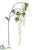 Silk Plants Direct Japanese Wisteria Spray - White - Pack of 6