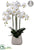 Silk Plants Direct Phalaenopsis Orchid Plant - White - Pack of 1