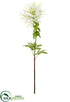 Silk Plants Direct Cleome Spinosa Spray - White - Pack of 12