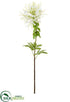 Silk Plants Direct Cleome Spinosa Spray - White - Pack of 12