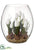 Tulip - White - Pack of 2