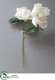 Peony Spray - White - Pack of 12