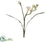 Silk Plants Direct Freesia Spray - White - Pack of 12