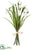 Snowdrop Bundle - White - Pack of 24