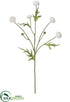 Silk Plants Direct Wild Pompom Spray - White - Pack of 24