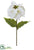 Velvet Poinsettia Spray - White - Pack of 12