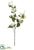 Apple Blossom Spray - White - Pack of 12