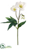 Silk Plants Direct Helleborus Spray - White - Pack of 24