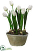 Silk Plants Direct Tulip - White - Pack of 2