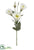 Lisianthus Spray - White - Pack of 12