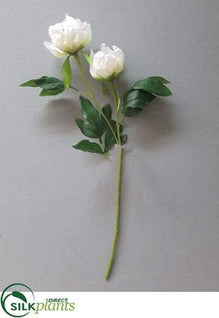 Peony w/Bud Spray - White - Pack of 12