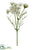 Queen Anne's Lace Spray - White - Pack of 24