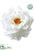 Velvet Rose - White - Pack of 12