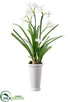 Silk Plants Direct Glittered Paperwhite - White - Pack of 2