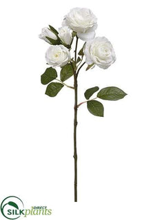 Rose Spray - White - Pack of 24