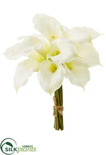 Calla Lily Bundle - White - Pack of 12