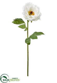 Peony Spray - White - Pack of 12