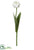 Parrot Tulip Spray - White - Pack of 12