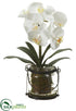 Silk Plants Direct Phalaenopsis Orchid Plant - White - Pack of 4