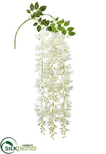 hanging wisteria plant Silk Plants Direct Wisteria Hanging Spray - White