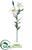 Mini Tiger Lily Spray - White - Pack of 12