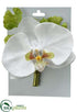 Silk Plants Direct Phanopnosis Orchid Corsage - White - Pack of 4