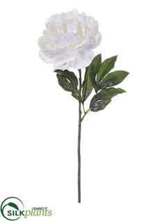 Velvet Peony Spray - White - Pack of 6