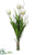 Tulip, Twig Bundle - White - Pack of 12
