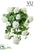 Geranium Hanging Bush - White - Pack of 6