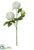 Peony Spray - White - Pack of 12