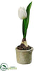Silk Plants Direct Tulip - White - Pack of 12