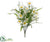 Daisy Bush - White - Pack of 12