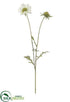 Silk Plants Direct Scabiosa Spray - White - Pack of 12