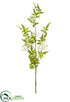 Silk Plants Direct Jasmine Spray - White - Pack of 12