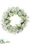 Daisy Wreath - White - Pack of 4