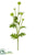 Globe Thistle Spray - White - Pack of 12