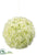 Viburnum Kissing Ball - White - Pack of 6