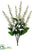 Delphinium Bush - White - Pack of 12