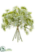 Silk Plants Direct Queen Anne's Lace Bouquet - White - Pack of 24